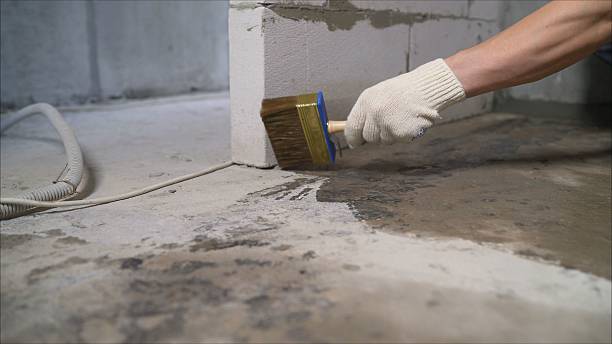 Top rated local Waterproofing specialists in Cumberland Furnace, TN